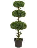 Kunstpflanze Buchskugelbaum, im Kunststofftopf, xH: 45x140 cm