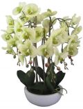 Kunstpflanze Orchidee Phalaenopsis, in Keramikschale, Hhe 66 cm, grn