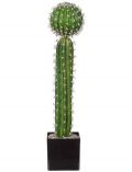 Kunstpflanze Kaktus, im Kunststofftopf, H: 50 cm