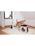 Katzenspielzeug Agility Balancier-Set, B/T/H: 175/40/35 cm, beige/braun