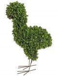 Kunstpflanze Buchsbaum Vogel, Hhe 66 cm