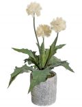 Kunstpflanze Distelbusch, im Zementtopf, : 40 cm, creme