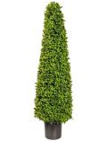 Kunstpflanze Buchsbaum in Kegelform, im Kunststofftopf, H: 90 cm