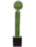 Kunstpflanze Kaktus, im Kunststofftopf, H: 30 cm