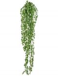 Kunstpflanze Englische Efeuranke , Hhe 180 cm