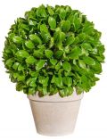 Kunstpflanze Blattbusch Kugel, im Papiertopf, Hhe 32 cm