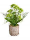 Kunstpflanze Alliumbusch, im Keramiktopf, Hhe 55 cm, grn