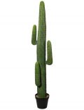 Kunstpflanze Mexikokaktus, im Kunststofftopf mit Kies, H: 173 cm