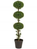 Kunstpflanze Buchskugelbaum, im Kunststofftopf, xH: 30x145 cm