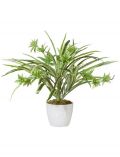 Kunstpflanze Grnlilie Chlorophythum, im Keramiktopf, Hhe 40 cm