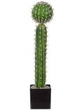 Kunstpflanze Kaktus, im Kunststofftopf, H: 60 cm