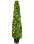Kunstpflanze Buchsbaum in Kegelform, im Kunststofftopf, H: 120 cm