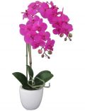 Kunstpflanze Orchidee Phalaenopsis, im Keramiktopf, Hhe 43 cm, lila