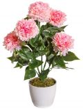 Kunstpflanze Peonie, im Keramiktopf, Hhe 50 cm, rosa