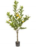 Kunstpflanze Zitronenbaum, im Kunststofftopf, H: 120 cm