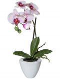 Kunstpflanze Orchidee Phalaenopsis, im Keramiktopf, Hhe 36 cm, wei/lila