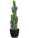 Kunstpflanze Kaktus Mexiko, im Keramiktopf, Hhe 75 cm