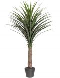 Kunstpflanze Palme Yucca, im Kunststofftopf, H: 145 cm