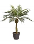 Kunstpflanze Sagopalme, im Kunststofftopf, H: 90 cm