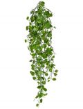 Kunstpflanze Pfennigblatt-Hnger, Hhe 88 cm