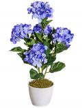 Kunstpflanze Hortensie, im Keramiktopf, Hhe 50 cm, blau