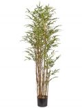Kunstpflanze Bambus, im Kunststofftopf, H: 155 cm
