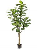 Kunstpflanze Ficus Lyrata, im Kunststofftopf, H: 180 cm