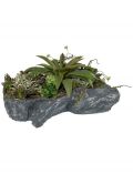 Kunstpflanze Sukkulenten-Arrangement, im Polyresinstein, Hhe 25 cm
