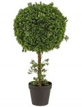 Kunstpflanze Buchskugelbaum, im Kunststofftopf, xH: 45x125 cm