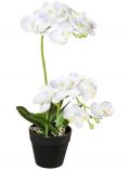Kunstpflanze Orchidee Phalaenopsis, im Kunststofftopf, H: 35 cm, wei