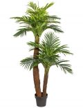 Kunstpflanze Kentiapalme, im Kunststofftopf, H: 150 cm