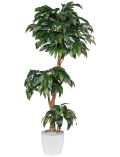 Kunstpflanze Mangobaum, im Keramiktopf, Hhe 160 cm