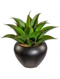 Kunstpflanze Agave, im Keramiktopf, Hhe 30 cm